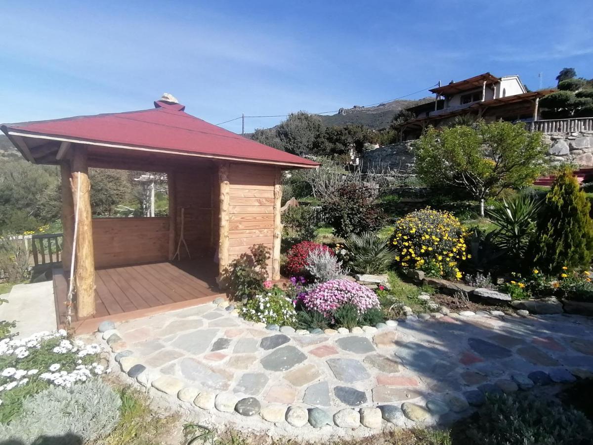 Logement De Charme Avec Piscine Privative Pino Exterior foto