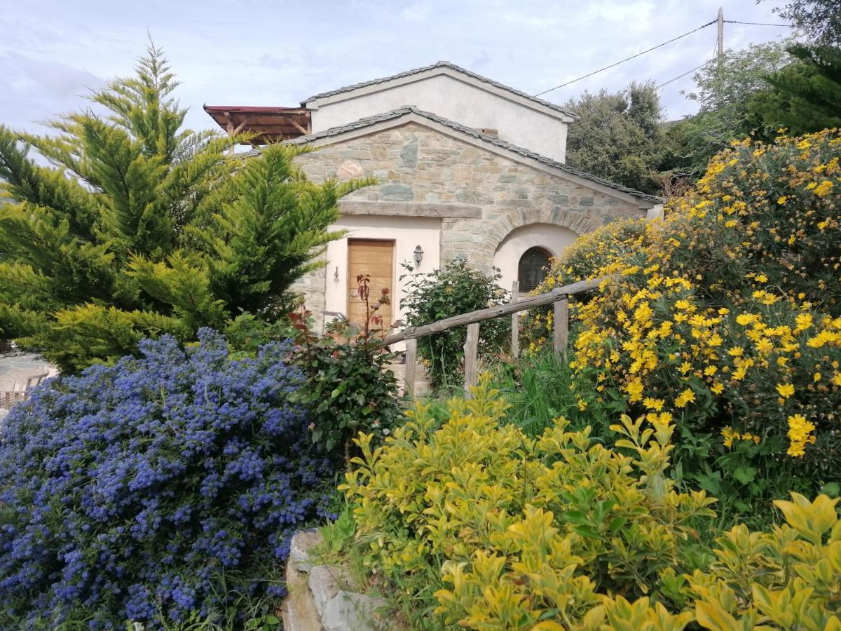 Logement De Charme Avec Piscine Privative Pino Exterior foto